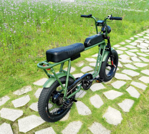 Bicicleta Eléctrica <span class=keywords><strong>2021</strong></span> Power Long Seat, Modelo Retro con Motor Trasero de 250w, Bicicleta Eléctrica 73 - Product Image 3