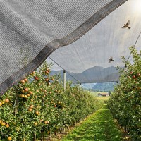 Filet d'ombrage en HDPE tricoté pour serre, avec structure respirante, stabilisé aux UV, durable, pour la protection des cultures, couverture d'ombrage pour balcon et ferme