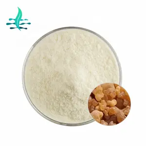 Hot sale 100% natural Mastic extract powder