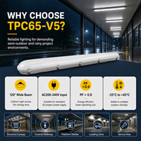 Projecteur LED Tri-Proof IP65 20W-60W étanche avec garantie de 5 ans pour auvent extérieur, zone de chargement et passerelle couverte
