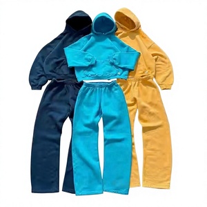 Conjunto Deportivo Unisex de Color Sólido con Capucha, Sudadera Larga y Pantalones Deportivos, Ropa Casual de Otoño para Adultos, 100% Algodón de Peso Medio - Product Image 1