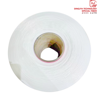 Fil mère en nylon 6 semi-mat (SD) pour la fabrication de monofilaments fendus 180D-500D, fil fendu en polyamide 6 pour tissu mat