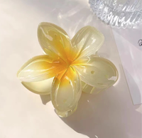 Pince à cheveux à l'acide acétique Finesryle nouvelle couleur fleur d'empreinte d'oeuf accessoires de cheveux pour femmes élégantes couleur pince de requin personnalisable