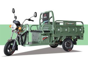 Tricycles électriques puissants de fabricant <span class=keywords><strong>professionnel</strong></span> en gros d'usine Vélo <span class=keywords><strong>cargo</strong></span> électrique à 3 roues - Product Image 6