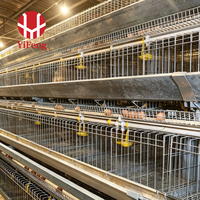 Système de cages pour poules pondeuses de type A, alimentation et abreuvement automatiques, collecte des œufs, OEM, courroie à fumier, abreuvoir à tétine, galvanisation à chaud