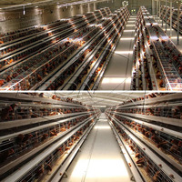 Cage automatique de poulet de batterie de pondeuse d'oeufs galvanisée de type A pour l'équipement de ferme de volaille