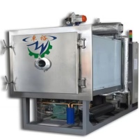 Fruit/Aardbei/Mango Vriesdroger Lyofilisatiemachine/Vriesdroogapparatuur