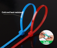 Attache-câble en nylon autobloquant haute résistance 3*100mm pour boucle d'étiquette en plastique renforcé certifié pour équipement électrique