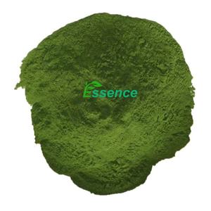 مسحوق النانوكلوروبس من الطحالب البحرية الغذائية عالية الجودة من إنتاج مصنع إيسنس - Product Image 2