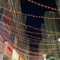 LED-Lichterkette für Außen- und Gartenbereich, IP44, 10M, 100 LEDs, Weihnachtsbaum-Stil, für Feiertage, Hochzeiten, Partys und Zuhause