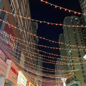 Ngoài Trời Vườn Hoạt Động Ip44 10M 100 Đèn Led Led Chuỗi Cổ Tích Ánh Sáng Giáng Sinh Trang Trí Cây Phong Cách Cho Kỳ Nghỉ Đám Cưới Đảng Nhà - Product Image 4