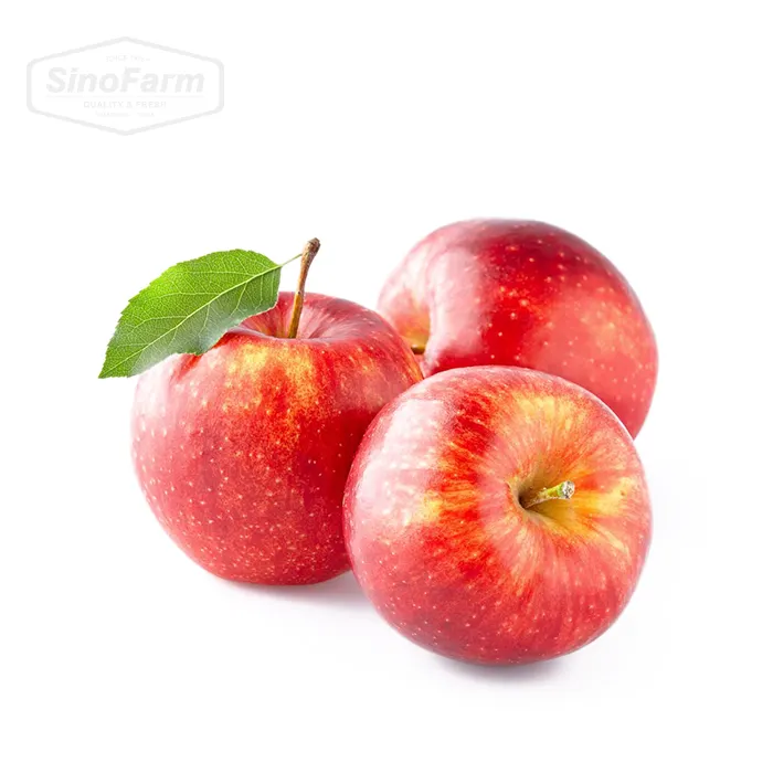 2023 Nouvelle saison Chine Pomme Fuji rouge fraîche de haute qualité pour l'exportation