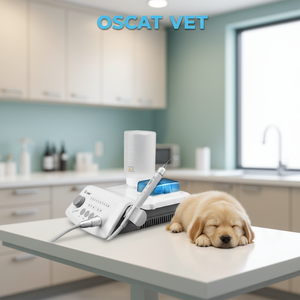 OSCAT EURPET Détartreur dentaire portable médical à bas prix, détartreur ultrasonique vétérinaire, machine de nettoyage des dents pour animaux de compagnie - Product Image 3
