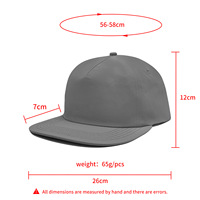 Wins Flying Unstructured Quick Dry Lichtgewicht Ademend Vijf-paneels Pet 256 Style Zachte Nylon Snapback Cap Korte Platte Top Pet