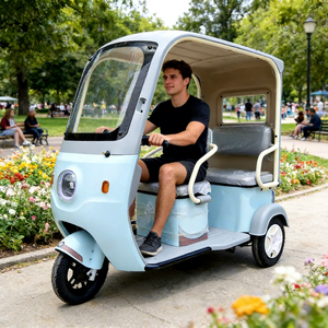 48V 800W Günstiges Elektrisches Dreirad-<span class=keywords><strong>Camper</strong></span> mit Offener Karosserie 3-Rad Elektro-Passagier-Dreirad für Erwachsene - Product Image 1