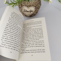 Книги оптом от Charlotte's Web: мягкая обложка, индивидуальная печать, легкая бумага, романы для взрослых, учебные пособия, цветная печать обложки.