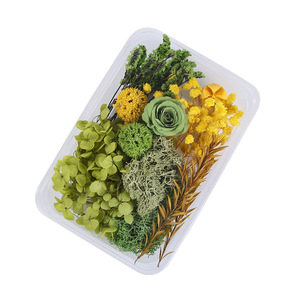 Kit de fleurs séchées Yuluhui, hortensia et rose, emballage en boîte plastique pour artisanat, cadeau et décoration - Product Image 5