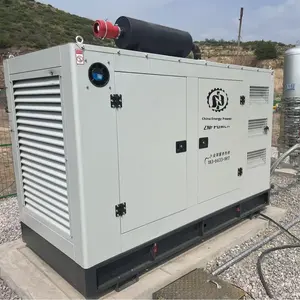 100kW 방수형 천연가스 수냉식 95% 효율 가스 발전기 EFI 발전기 세트 모델 SE100BF 50Hz 230V - Product Image 3