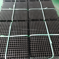 Planche de drainage pour toit végétal SDM de haute qualité, pour drainage des jardins