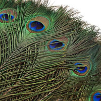 Plumes de paon naturelles de haute qualité en vrac pour la décoration de mariage, la décoration de la maison, les fêtes, les vêtements et les robes