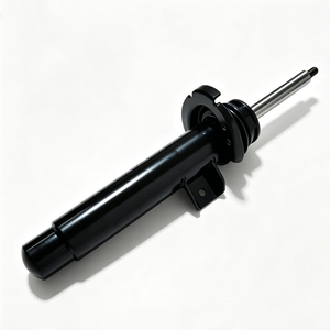 31316873738 Amortiguador Delantero con Núcleo de Gas, Izquierdo o Derecho, para BMW Serie 2 F23 2014-2019 - Product Image 2