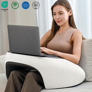 Oreiller fonctionnel pour le soutien des bras, prix d'usine personnalisé, oreiller ergonomique lavable pour la lecture, pour ordinateur portable, iPad - Product Image 1
