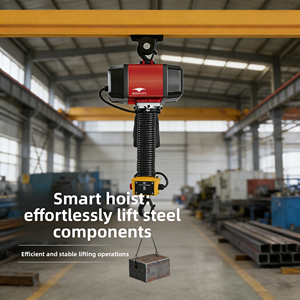 Palans électriques de levage pour scène, capacités 500kg, <span class=keywords><strong>1000kg</strong></span>, 2000kg – Équipement intelligent de levage à chaîne électrique pour scène - Product Image 5