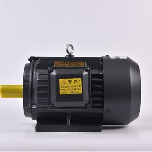 มอเตอร์สามเฟส YE2 YE3 Y2 Y ความถี่ 50Hz กำลัง 4.0KW แบบ 2 โพล - Product Image 3