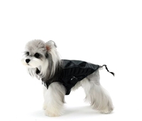 Veste de luxe pour chien en polyester, style motard, doublée polaire, imperméable avec fermeture éclair, durable, toutes saisons, vêtement d'extérieur pour animaux de compagnie