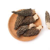 Morilles séchées biologiques de qualité supérieure cultivées en ferme, vente en gros d'usine