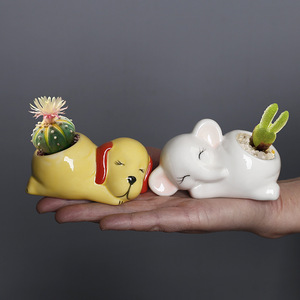 Mini pot de <span class=keywords><strong>cactus</strong></span> et de plantes succulentes au design d'animaux de dessin animé, décoration de bureau XN00403 - Product Image 4