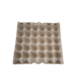 全功能自动卓越效率带走蛋板成型操作 - Product Image 4