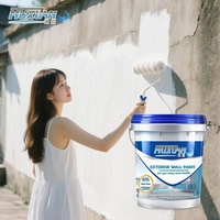 Peinture Acrylique Latex d'Extérieur - Revêtement Liquide Écologique, Imperméable et Résistant au Soleil pour Murs en Ciment