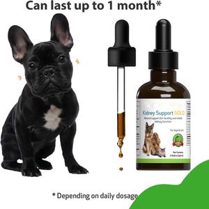 Gouttes liquides personnalisées pour le soutien rénal des animaux de compagnie, formulées avec une mélange d'extraits d'herbes douces pour aider à maintenir la santé rénale des chiens et des chats - Product Image 3