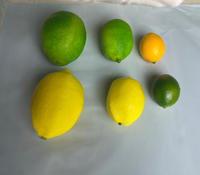 Kunstmatige fruitdecoratie voor thuis, nep citroenblokjes, feestdecoratie, keukendecoratie, nep limoenchips, simulatie fruit, kunstmatige citroenschijfjes