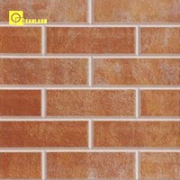 Carreaux de sol en céramique rustiques modernes pour l'intérieur - Antidérapants et antibactériens - Fabriqués en Chine