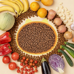 OEM Alimento Seco Mascotas Sin Granos Personalizado Alto Proteína Marca Propia Fabricante Etiqueta Privada Venta Caliente Mayori - Product Image 1