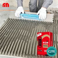 Adhésif pour carrelage fin et flexible C2TE, à base de ciment, imperméable, pour zones humides, salle de bain, balcon, sol