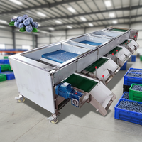 Industriële Blauwe Bes Sorteermachine van RVS, Hoge Efficiëntie, Capaciteit 500-1000kg/u, voor het sorteren van bosbessen en blauwe bessen