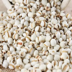 Poudre d'extrait de graines de <span class=keywords><strong>Coix</strong></span> de qualité alimentaire GMP standard de haute qualité emballée dans un tambour extrait par solvant - Product Image 5