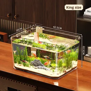 Piccolo <span class=keywords><strong>acquario</strong></span> domestico moderno nuovo <span class=keywords><strong>acquario</strong></span> quadrato pesce rosso allevamento di <span class=keywords><strong>tartarughe</strong></span> ecologiche nuovo piccolo accessorio <span class=keywords><strong>per</strong></span> <span class=keywords><strong>acquario</strong></span> da tavolo - Product Image 2