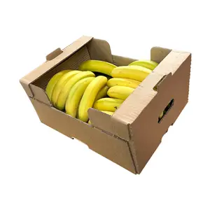 China Custom Hard Paper Agricultural Fruit Catron Fresh Banana Corrugated Packaging Box