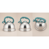 Bouilloire sifflante en acier inoxydable de 2,8 à 3 L, vente en gros d'usine, couleur personnalisée, pour tous les types de cuisinières