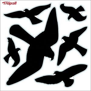 Adhesivo Repelente <span class=keywords><strong>de</strong></span> Aves para Ventanas <span class=keywords><strong>de</strong></span> Plástico Moderno, Reutilizable y Sostenible, Previene que las Aves Migratorias se Golpeen con el Vidrio, Protector <span class=keywords><strong>de</strong></span> Palomas para el Hogar - Product Image 1