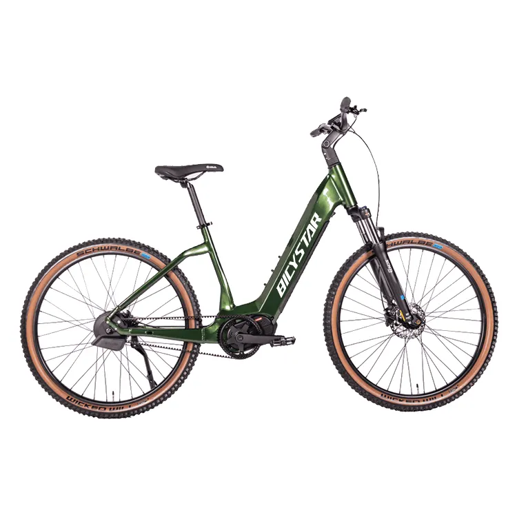 2023 Mid Drive E-Bike/OEM Custom 1000W High Range Lithium Elektro City Bike E Fahrrad/Vintage Bicicleta Electrica zu verkaufen