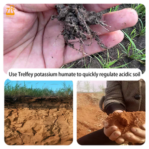 Gránulos de Ácido Húmico Soluble en Agua, Fertilizante Orgánico de 40 kg para Remediación del Suelo, Pulverización Foliar, Riego por Goteo - Product Image 2