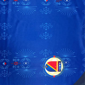 Футбольная форма сборной Гаити для Кубка мира 2026 года – высококачественная спортивная одежда с возможностью персонализации - Product Image 4