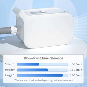 Sèche-cheveux pour chien 1800W à faible bruit, souffleur haute vitesse avec 4 niveaux de température et 3 embouts, pour toilettage canin à domicile - Product Image 4