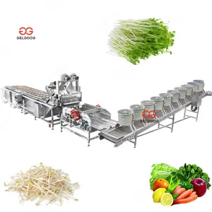 SUS304 Automatic Vegetable Fruit Cutting Washing Production Line Bean Sprout Washing And Drying Line