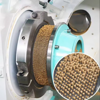 Ligne de production de granulés de bois à haute productivité, neuve, pour copeaux de bagasse, paille, machine à planer et à granuler